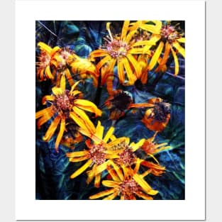 Sunflowers/ Black-eyed Susans/ Flowers Posters and Art